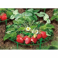 Plant Supports for Gardening fruits & Vegetables - Pack of 10