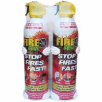 Petra Fire Gone 2-fg-7209 16oz Fire Gone Suppressant With Bracket 2 Pk AVW2FG7209
