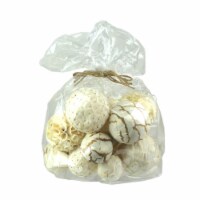 18 Piece Natural White and Brown Exotic Dried Organic Decorative Balls