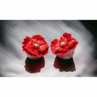 Ceramic Red Poppy Flower Salt & Pepper Shakers, Home Décor, Gift for Her, Gift for Mom,