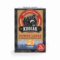 Power Cakes Blueberry Flapjack & Waffle Mix 18 Oz. (Pack of 20)