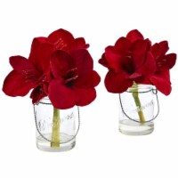 Amaryllis in Glass Vase - Set of 2