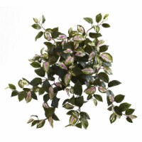 21 in. Hoya Hanging Bush, Set of 4