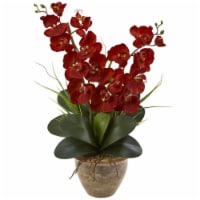 Seasonal Double Phalaenopsis Orchid Arrangement, Autumn