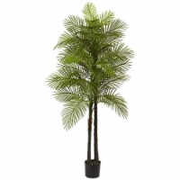 Double Robellini Palm Tree UV Resistant