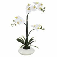 25 in. Potted Orchid fls x 2-Purple with Ceramic Container