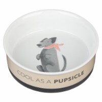 Christian Art Gifts 241483 Cool as a Pupsicle Pet Bowl, Taupe - Large