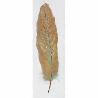 Feather Collection-IIII Oil Painting Wall Decor