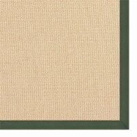 Linon Empire Machine Tufted Wool 8'9 x12' Rug in Natural and Green