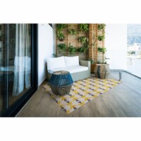 Linon Indoor Outdoor Washable Lucia Polyester Accent 3'x5' Rug in Ivory