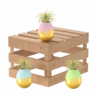 Penang Gold Flaked Easter Egg with Air Plant