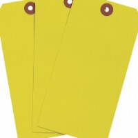 Brady Blank Tag,Cardstock,Colored,PK1000  102079