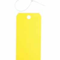 Brady Blank Tag,Polyester,Colored,PK25  65350