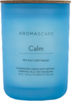 Aromascape Calm Sea Salt Driftwood Jar Candle - Blue Perspective: Main