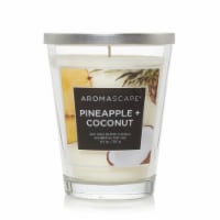 Chesapeake Bay Candle Pineapple & Coconut Jar Candle Perspective: Main