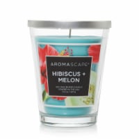 Chesapeake Bay Candle Aromascape Soy Scented Candle -  Hibiscus Melon Perspective: Main