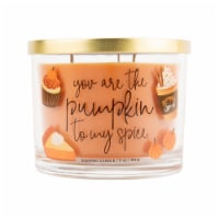 Chesapeake Bay Pumpkin to my Spice Scented Jar Candle - Orange Perspective: Main