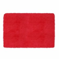 Fluffy Bedroom Rug 4' x 2.6' Anti-Skid Shaggy Area Rug Decorative Floor Carpet Mat Red