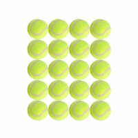Dog Tennis Balls 20 Pack Pet Tennis Ball for Small Dogs Premium Fetch Toy Non-Toxic