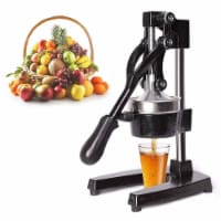 Citrus Pomegranate Juicer Labor saving Manual Fruit Juicer Press Fruit Squeezer with Stable