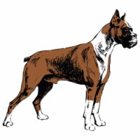 SignMission D-12-Boxer 7 x 20 in. Super Cute Dog Decal - Boxer