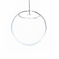 6 in. Dia. Clear Half-Round Wall Hanging Terrarium & Vase
