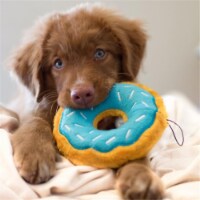 Jumbo Donutz Blurberry Dog Toy