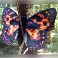 8 In. Finger Butterfly Painted Lady Puppet