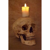 Skull with Flameless Candle
