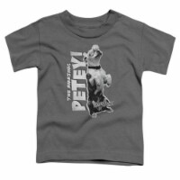 Little Rascals-Amazing Petey - Short Sleeve Toddler Tee - Charcoal&#44; Small 2T