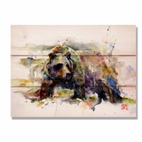 Day Dream HQ DCGRZ1511 15 x 11 in. Grizzly Wall Art