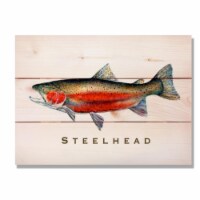 Day Dream HQ DCSH1511 15 x 11 in. Steelhead Wall Art