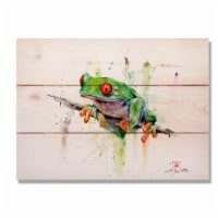 Day Dream HQ DCTF1511 15 x 11 in. Tree Frog Wall Art