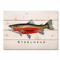 Day Dream HQ DCSH2014 20 x 14 in. Steelhead Wall Art