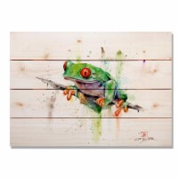 Day Dream HQ DCTF2014 20 x 14 in. Tree Frog Wall Art
