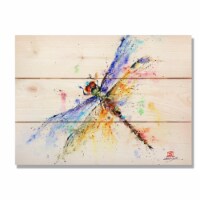 Day Dream HQ DCPD1511 15 x 11 in. Pond Dragonfly Wall Art