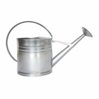 Zinc Watering Can, Large