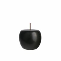 Ceramic Apple Figurine with Stem, Polished Pearlescent Black - Small