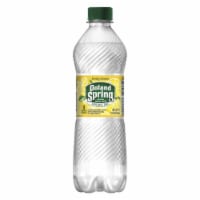 Nestle Waters 16.9 oz Poland Spring Lemon Sparkling Spring Water - Pack of 24