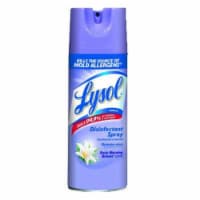 Reckitt Benckiser Professional 12.5 oz Aerosol Disinfectant Spray Early Morning Breeze