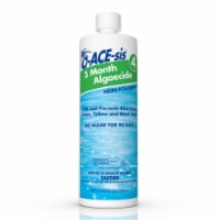 O-ACE-SIS 8191637 1 qt. Liquid Algaecide for Pool - Pack of 12