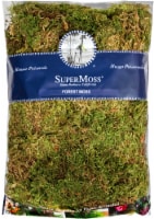 SuperMoss® Dry Forest Moss Perspective: Main