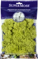 SuperMoss® Preserved Reindeer Moss Perspective: Main