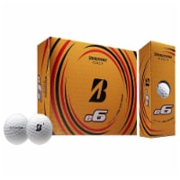 Bridgestone e6 Soft Feel Core Long Distance White Plastic Golf Balls Perspective: Main