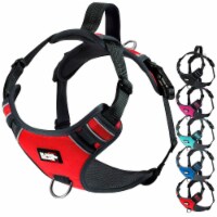 Black Rhino Red/Bl Harness Lrg | Mesh Padded Vest | Adjustable | Reflective