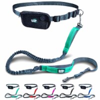 Black Rhino Premium Hands Free Dog Leash 5 Feet Gray/Aqua