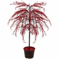 CMI 3.75' Red Crystallized Glitter Potted Artificial Christmas Tree - Unlit