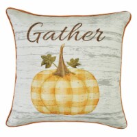 Park Designs Punkin' Patch 20  Pillow Cover