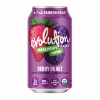 Evolution Fresh® Berry Burst Organic Real Fruit Soda Perspective: Main