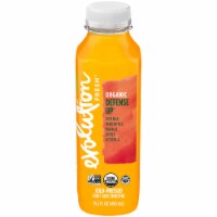 Evolution Fresh Defense Up Fruit Smoothie